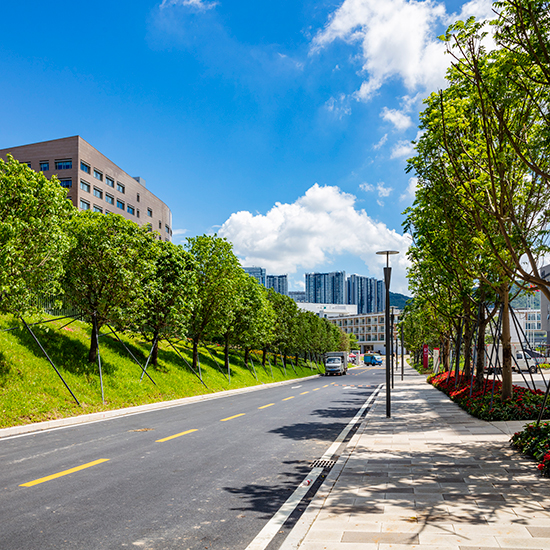 深圳大學(xué)西麗校區(qū)建設(shè)工程（二期）項(xiàng)目園林綠化工程
