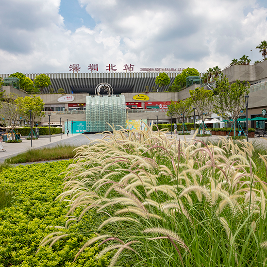 匯隆商務(wù)中心深圳北站東廣場(chǎng)首層園林景觀改造