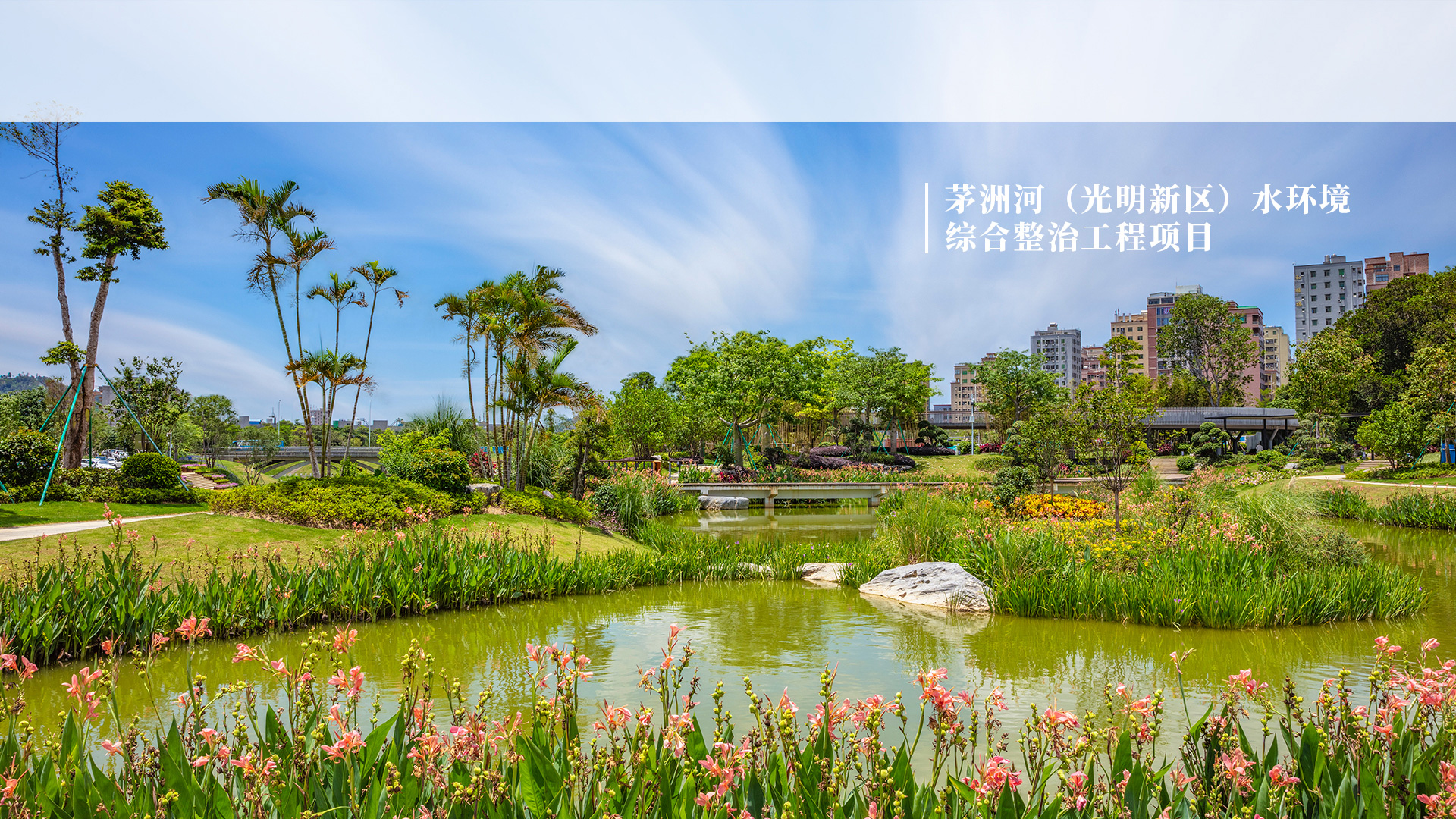 茅洲河（光明新區）水環境綜合整治工程項目