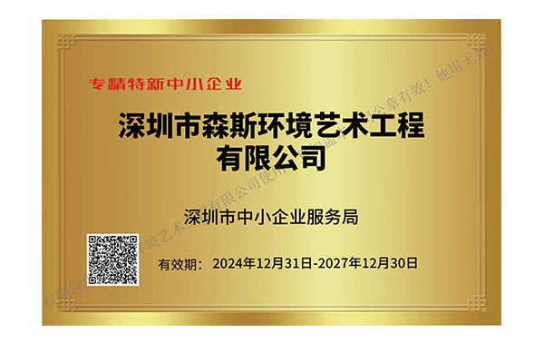 深圳市專精特新中小企業