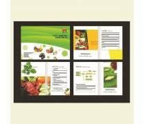 圖文平面設計熱賣促銷 專業制作，助力品牌騰飛